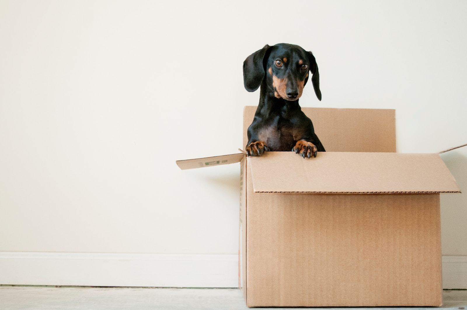 How to Get Ready Financially For Moving Out of State After Selling a House